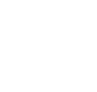 VIP Services Icon